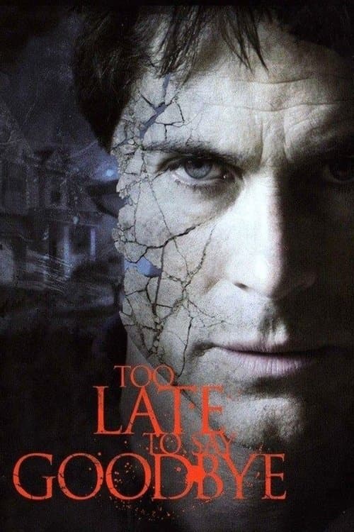 Too Late to Say Goodbye (2009) poster