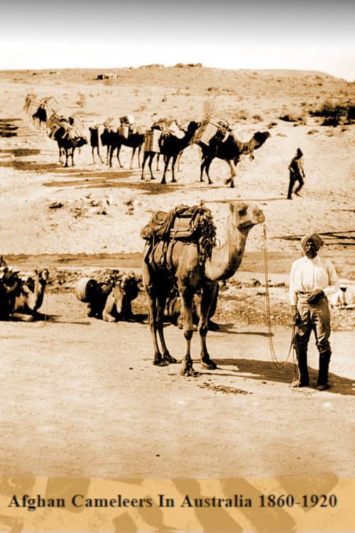 Afghan Cameleer in Australian from 1860-1920 poster