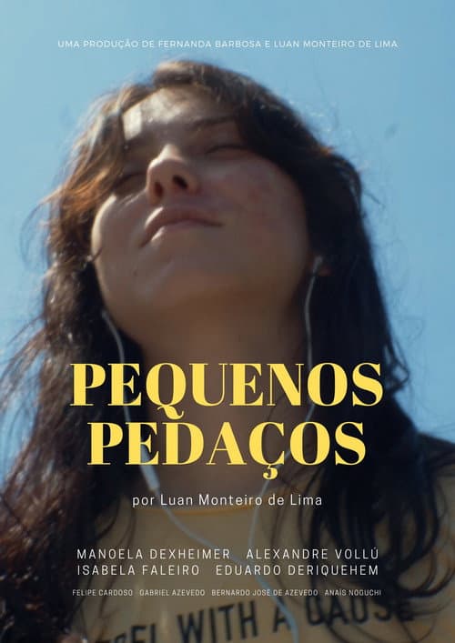 Little Pieces (2020) poster