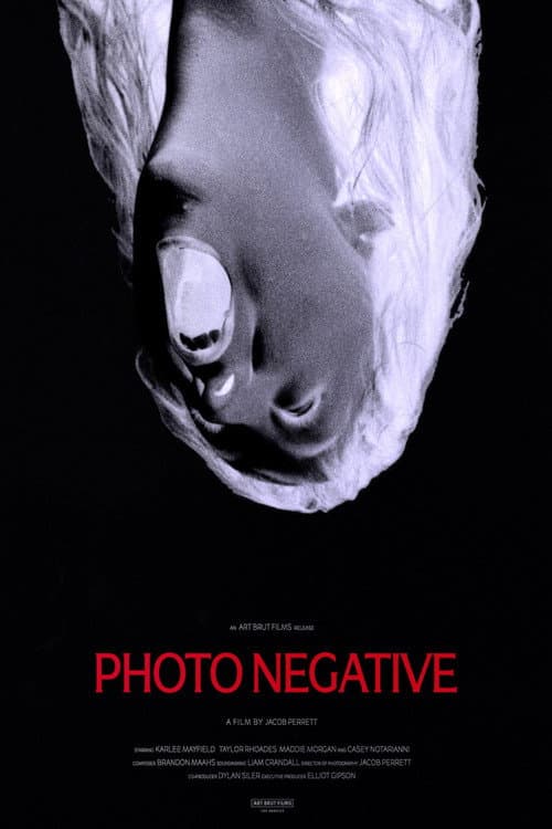 Photo Negative (2026) poster