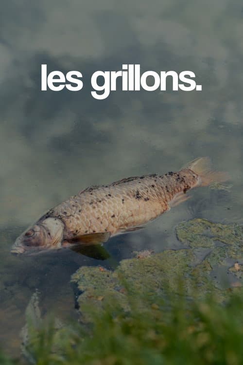 les grillons. (2025) poster