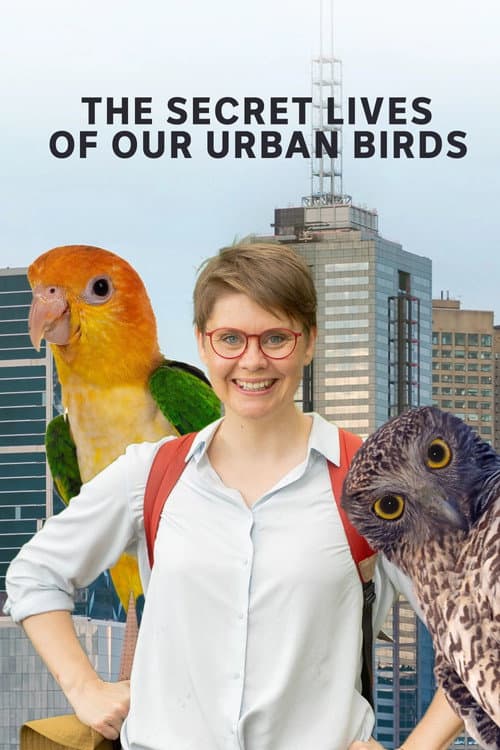The Secret Lives of Our Urban Birds (2023) poster
