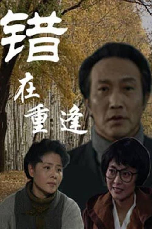 错在重逢 (1994) poster