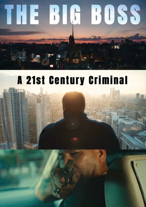 The Big Boss: A 21st Century Criminal poster