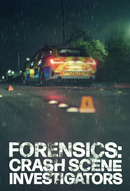 Forensics: Crash Scene Investigators (2025) poster