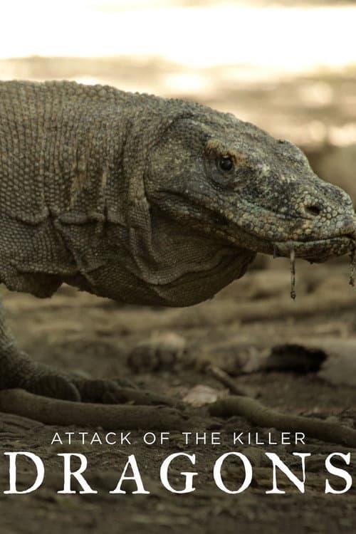 Attack of the Killer Dragons poster