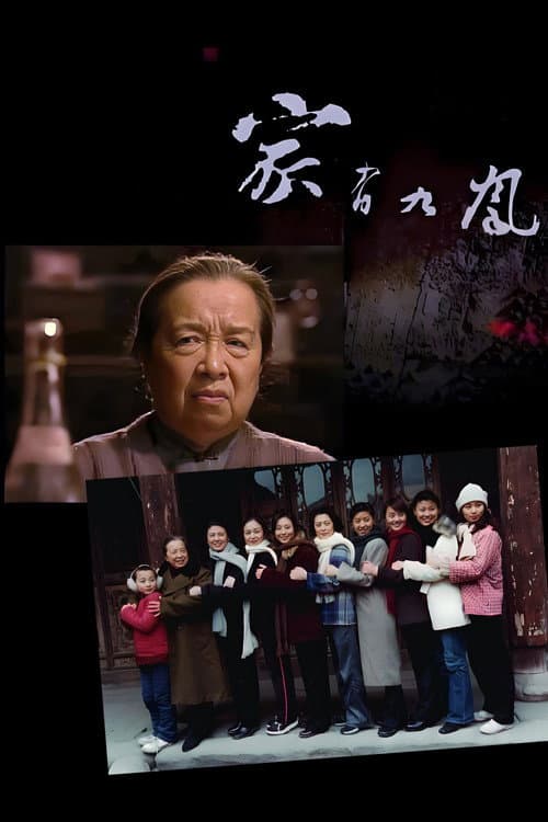 Nine Daughters in My Family (2006) poster