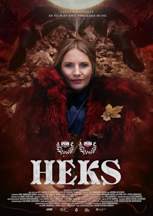 Witch poster
