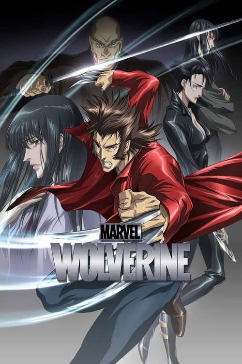 Wolverine (2011) poster