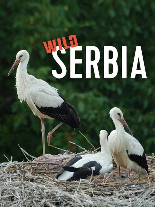 Wild Serbia poster