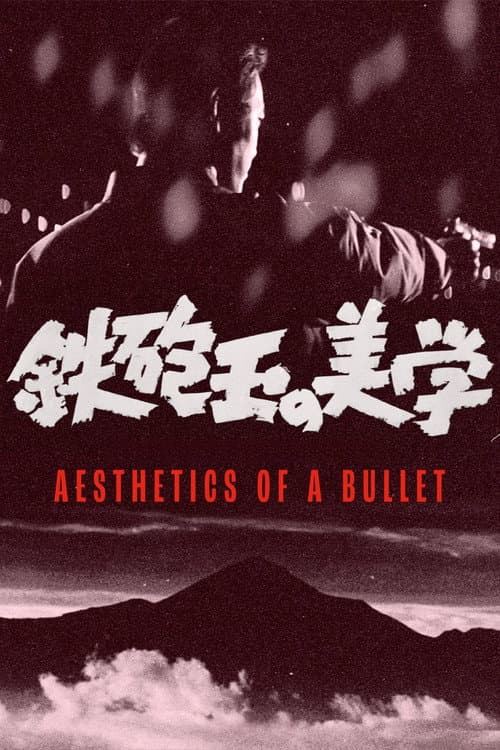 Aesthetics of a Bullet (1973) poster
