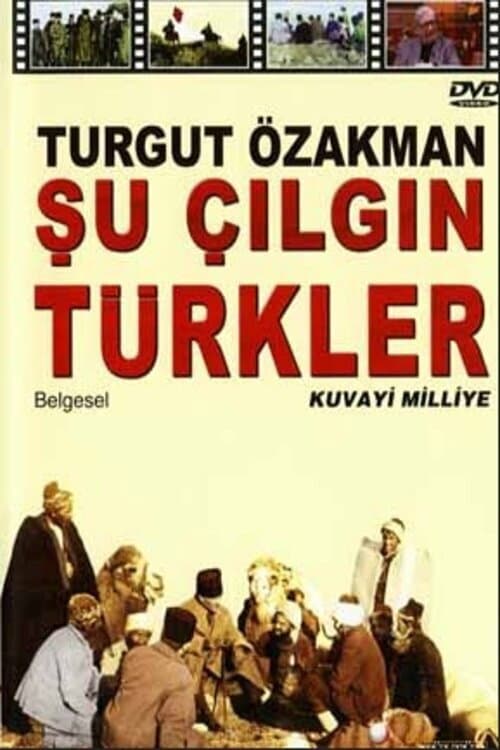 Şu Çılgın Türkler (2014) poster