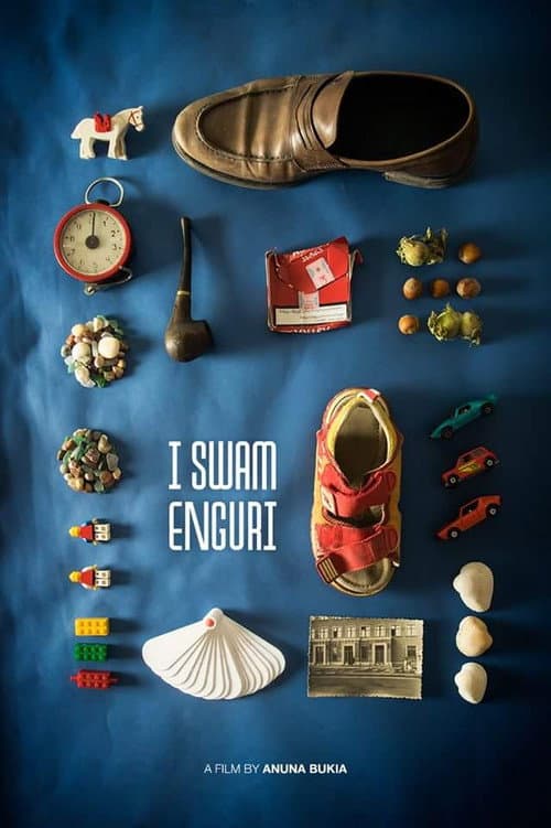 I Swam Enguri (2017) poster