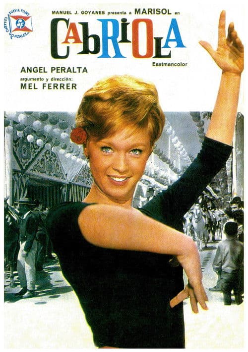 Every Day Is a Holiday (1965) poster