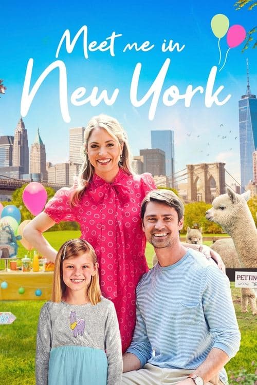 Meet Me in New York (2022) poster