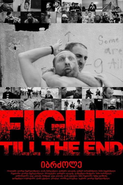 Fight Till The End (2013) poster