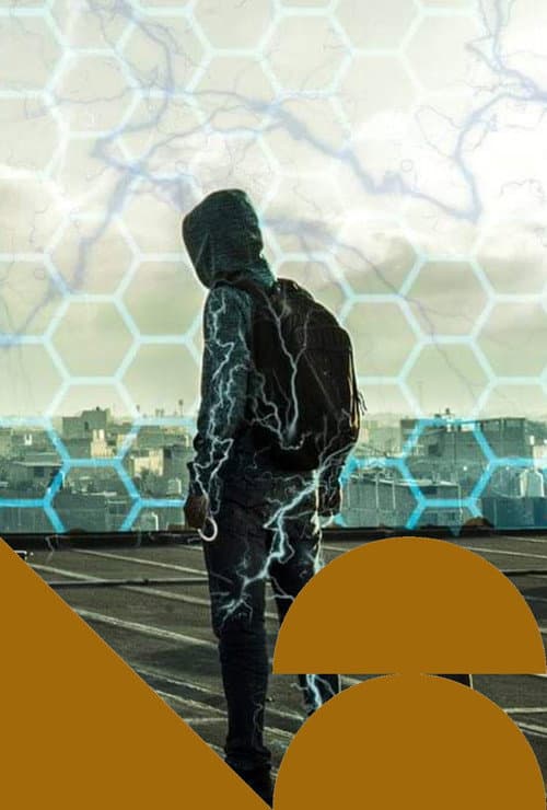 LID (2018) poster