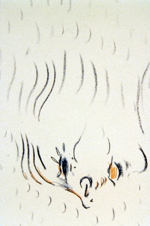 Musikalische Arabesken: Träumerei (1980) poster