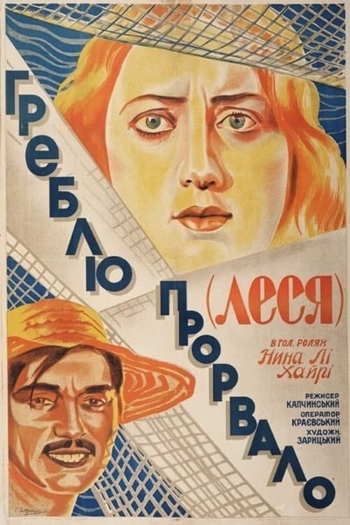 The Dam Is Broken (1928) poster