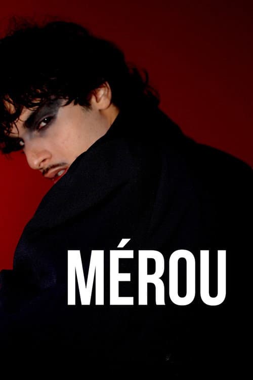 Mérou (2025) poster