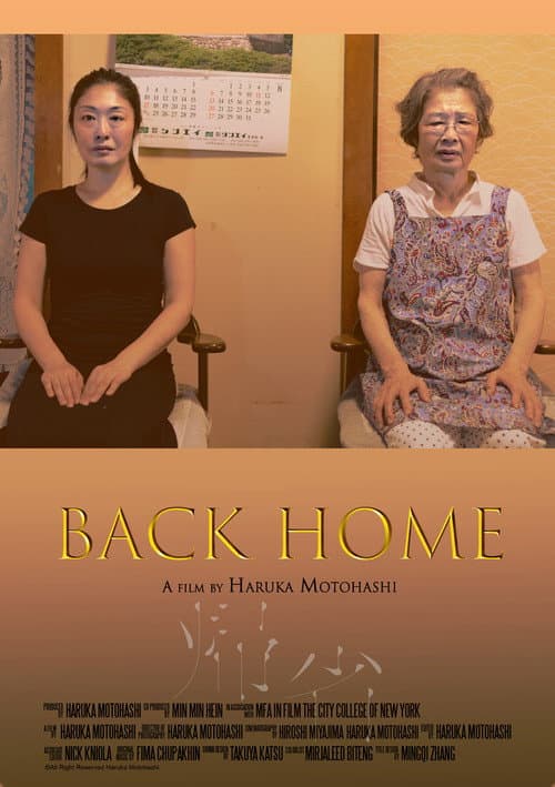 Back Home (2018) poster