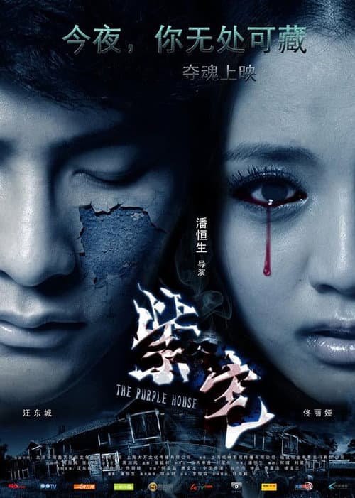 The Purple House (2011) poster