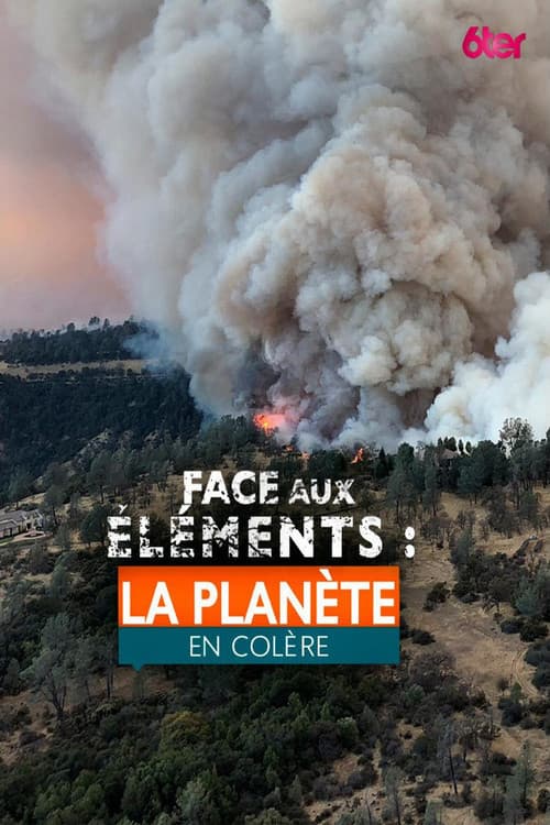 Face aux éléments (2017) poster