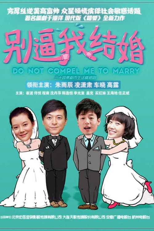 别逼我结婚 (2014) poster