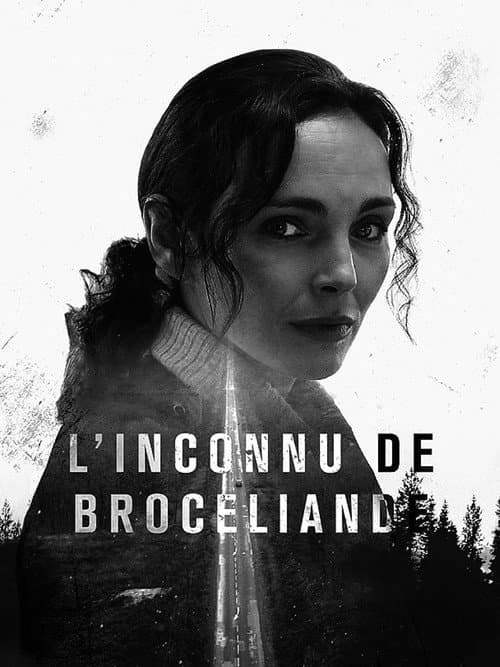 Murder in Brocéliande (2016) poster