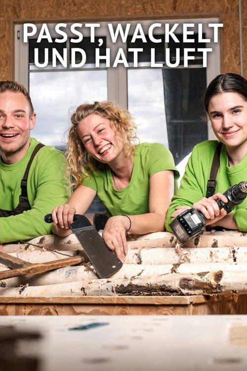 Passt, wackelt und hat Luft (2020) poster