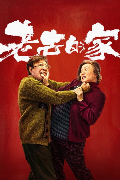 老去的家 poster