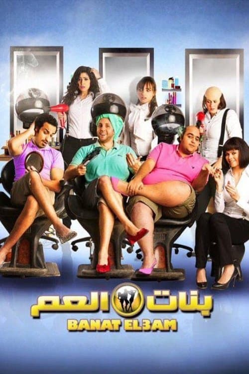 Female Cousins (2012) poster