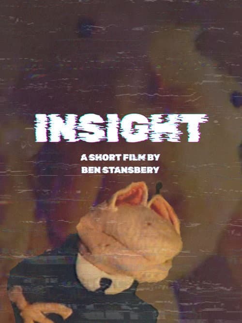 Insight (2024) poster